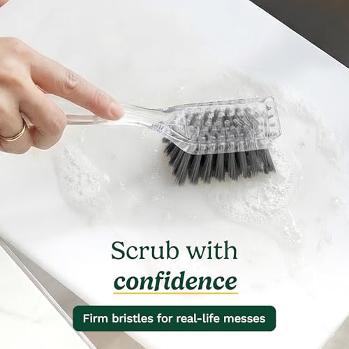 Image of Cuisinart Dish Brush with Handle 2 Pack - Kitchen Scrub Brush for Dishes, Pots & Pans, Non-Scratch Dish Scrubber, Firm Bristles for Sink & Cookware, Comfortable Grip for Everyday Cleaning
