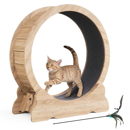 Mondeer Katzenlaufrad, 90cm Laufband mit Abnehmbaren Teppichboden für Indoor Katzen, für Kleines Mittel Großes Katze...