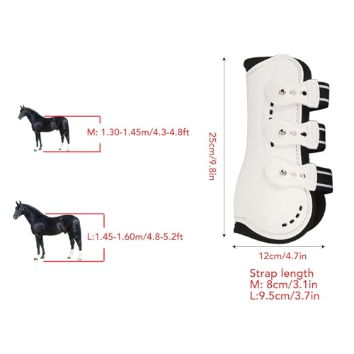 Guêtres de protection pour boulets de cheval - Protections de tendon blanches L