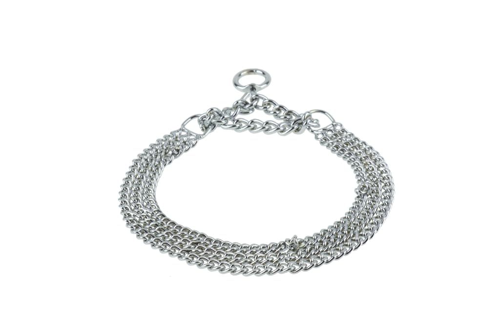 Collier chien chrome 3 rangées idéal pour l'éducation lors des balades en forêt