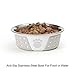 PetRageous 13094 Fiji Stainless Steel Non-Slip Dishwasher-Safe Dog Bowl 1.75-Cup Capacity 5.5-inch Diameter 1.75-inch Tall for Small Dogs Medium Dogs ans Cats, White and Light Grey