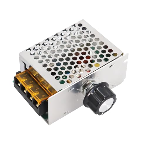 QIQIAZI - Regolatore di tensione elettronico AC 220 V 4000