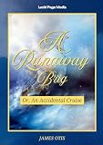 brigata julia  A Runaway Brig: Or, An Accidental Cruise