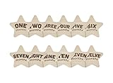 Kate & Milo Wooden Milestone Props, Baby Monthly Photo Discs, Newborn Keepsake Photos, New and Expecting Parents Gift, Gender Neutral Monthly Milestone Markers, Stars