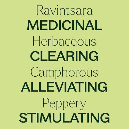 Aceite Esencial Ravintsara Plant Therapy 10 mL miniatura 4