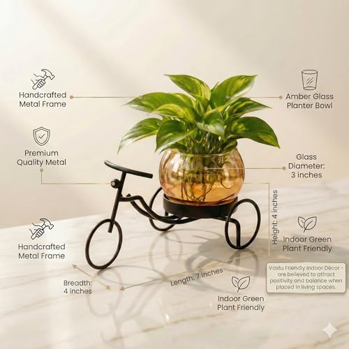 Image of CentraLit Decorative Metal Tricycle Planter for Home Decor | Handcrafted Indoor Plant Pot with Amber Glass Bowl | Premium Tabletop Planter for Living Room, Office, Balcony & Gifting
