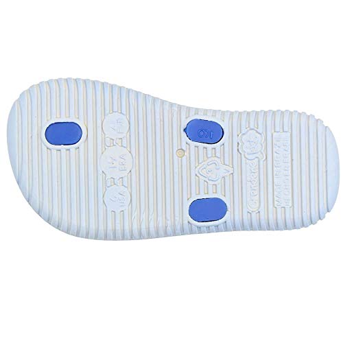 Assandalhado PATRULHA CANINA CÃO BOLINHA ASSANDALHADO PROMO BABY S:AZUL/G:AZUL Grendene, bebê-menino