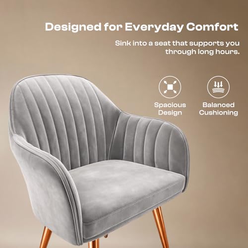 Image of Vergo Plush Velvet Dining Chair, Cushion Seat, Wooden Frame, Metal Legs, Premium Accent Chair for Dining & Lounge Chair for Living Room, Bedroom & Balcony (Set of 4, Light Grey)