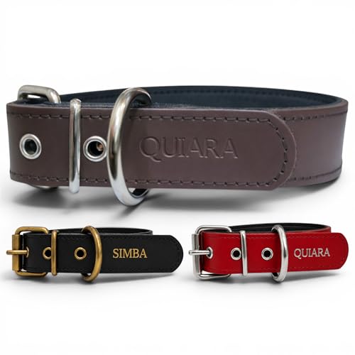 Collar de cuero