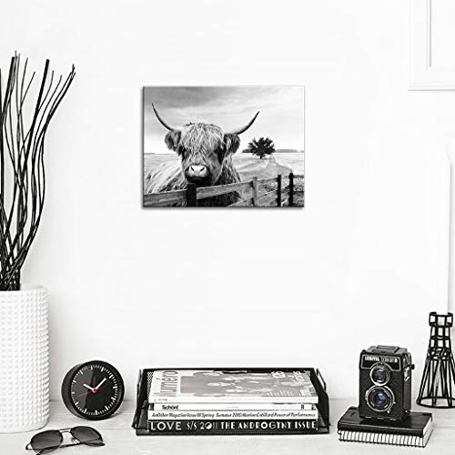 Highland Cow Canvas Black And White Landscape Pasture Hairy Cow Animal Wall Art Pictures Canvas Wall Art Farmhouse Prints Photo Contemporary Cow Decor Paintings Home Decoration Artwork 12"X16" #TOP1