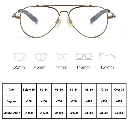 Riccie Retro Pure Titanium Pilot Anti-Blue Light Presbyopia Glasses Hd Aspheric Resin Lens Reader/Anti-Fatigue,01,+2.25 #TOP3