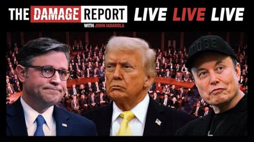 Charlotte's Tangled Web