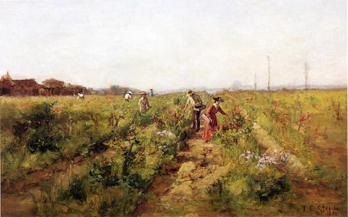 Affiche Artistique dans le Berry Field Steele Tableaux Toile 60x90