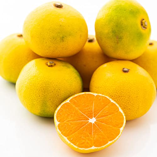 Q݂ ɑ݂ GiEp(i{[) TCYC 3kg 1 QY ƒpMtgɂE߂̂Ε