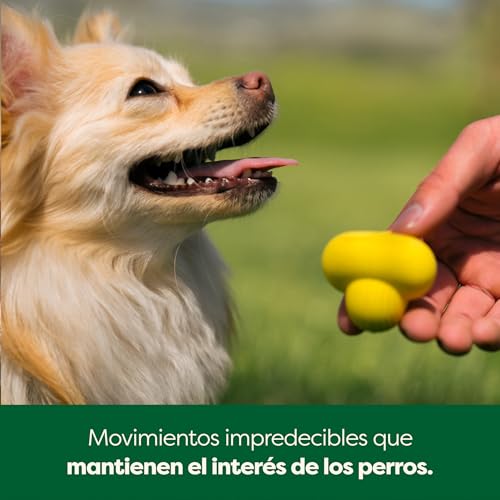 Earth Rated Pelota para Perro, Juguete Interactivo para Razas pequeñas, Medianas y Grandes, Viene en Varios tamaños, Fabricado con Goma Natural, Uso en Interiores y Exteriores, pequeño, - imagen 4
