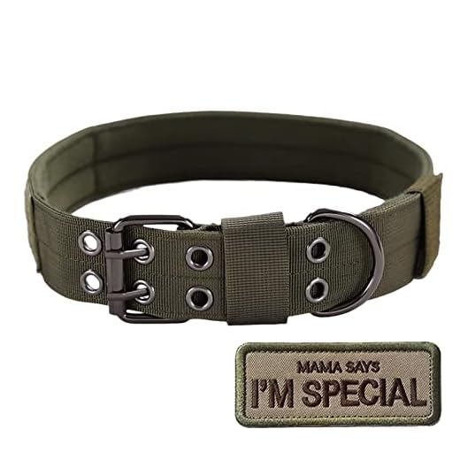 S.Lux Collares de Perro de Nylon, Anti-Desgaste Entrenamiento táctico al Aire Libre Cinturones de Perro de led Collar de Perros Grandes Negro Verde Marrón Collar para tu Perro