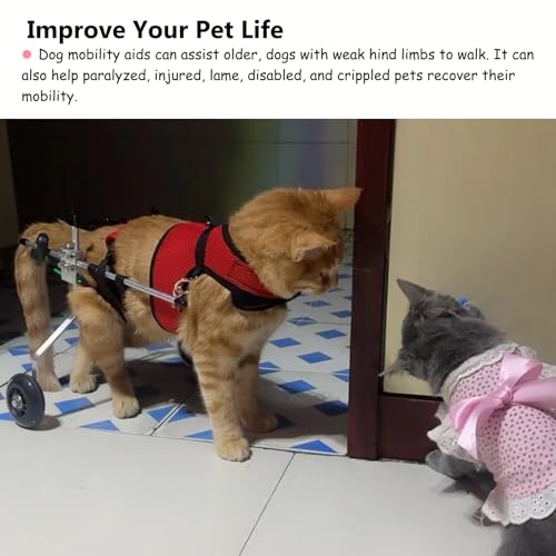 Silla de ruedas para perros con dos ruedas estables para gatitos discapacitados 4