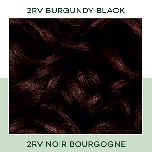 Clairol Natural Instincts Demi-Permanent Hair Dye, 2Rv Burgundy Black Hair Color, Pack Of 1 #TOP15