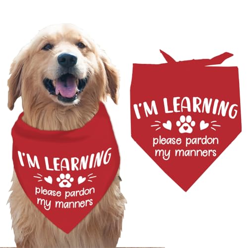 arricraft 1 Pc I’m Learning Please Pardon My Manners Dog Bandana