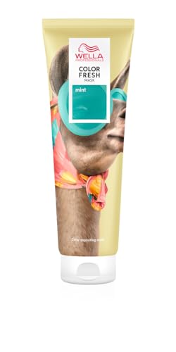 Wella Professionals Color Fresh Mask Mint Haarkur zum Beleben und Verändern der Haarfarbe pflegende Tönung mit Avocadoöl für helles und aufgehelltes Haar 150 ml