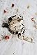 Itzy Ritzy Pacifier Case with Clip – Pacifier Charm Pod Includes Clasp to Easily Attach to a Diaper Bag or Purse; Measures 2.5” in Diameter and Holds 2 Pacifiers, Leopard
