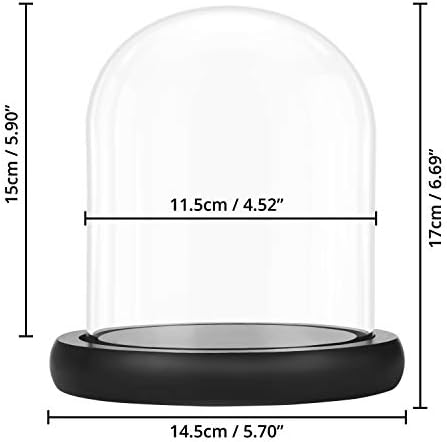 BELLE VOUS Glass Dome Cloche Bell Jar with Black Wooden Base - 17cm/6.69 Inches - Clear Decorative Tabletop Display Case with Tray for Fairy Lights, Centrepieces and Antiques