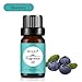 Produktbild Inagla Blaubeere Duftöl, Reines Duftöl für Diffuser, Naturreines Aroma Ätherisches Öl - Blueberry Fragrance Oil 10ML