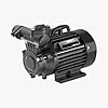 Silver Make 1 HP Single Phase Electric Motor, Black : Amazon.in: Garden ...