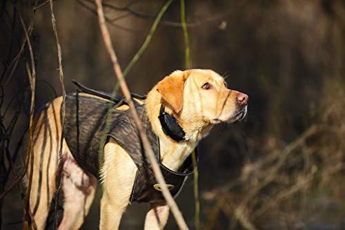 The Ultimate Hunting Dog Reference Book: A Comprehensive Guide to More Than 60 Sporting Breeds