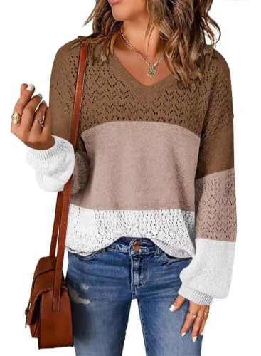 Image of JOCAFIYE Womens Sweaters Casual Long Sleeve V Neck Pullover Sweater Tops
