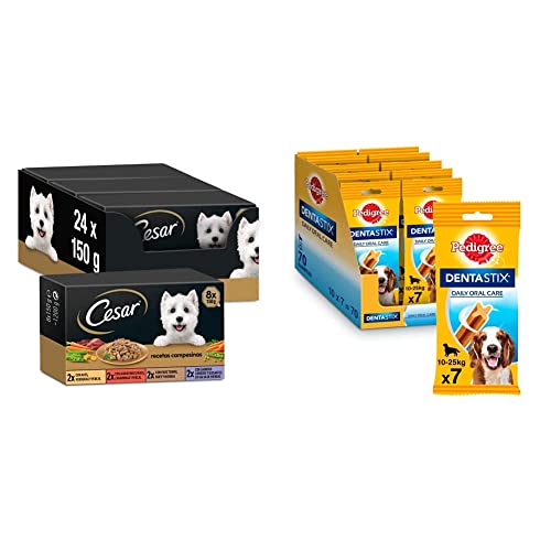 Cesar Comida Húmeda para Perros, Selección Recetas Campesinas en Salsa (Pack de 3 x 8 Tarrinas x 150g) + Pedigree Dentastix Snack Dental para la Higiene Oral de Perros Medianos (10 Paquetes de 7ud)