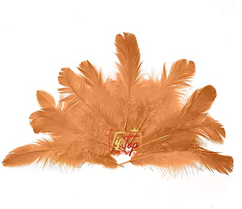 Image of TIPTOP DECORATION Natural Dyed Feathers 10 cm (80 pieces) (Light Brown)