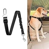 Noaxylic Cinturon Perro Coche, 30-60cm Longitud Ajustable Arnes Perro Coche, Correa Dog Coches con Amortiguación Elástica, para Dogs Pequeños y Medianos, Apto para Todo Tipo de Auto