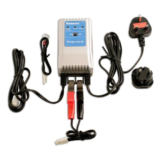 Gunson 77115 6V - 12V Maintenance Battery Charger