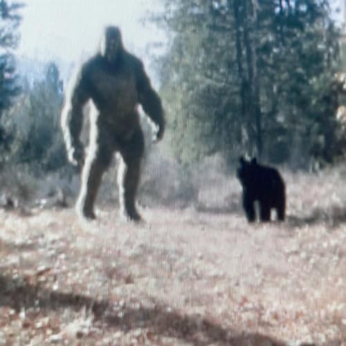 They Walked In Like Ghosts - When Navy SEALS Made U.S Gov't Question Everything