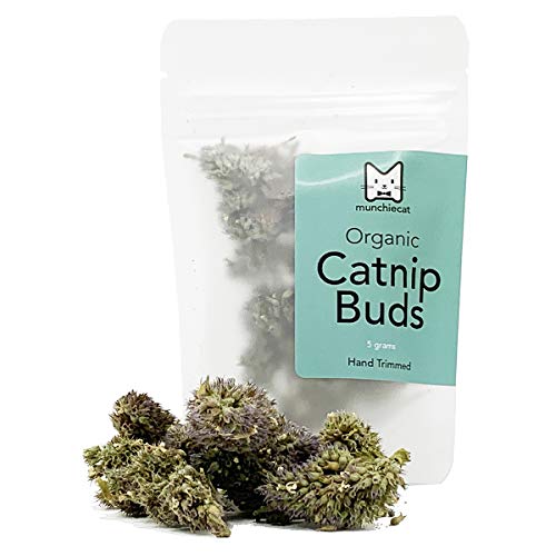 munchiecat Organic Catnip Buds, Premium Cat Nip Bud, Hand Harvested USA Grown (5 Grams)