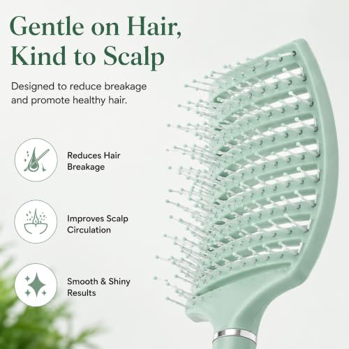 Image of GLUN Portable Detangling Hair Brush Pack of 1 Green Colour, Curly & Straight Hair Brush for Women & Men Accessories Use in Salon, Home & Personal Use