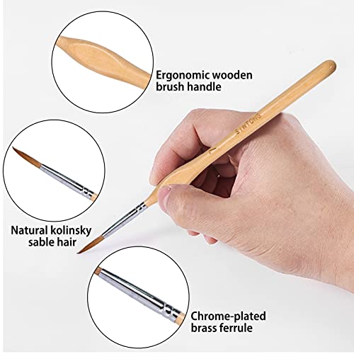 Sintong Miniature Paint Brushes,11 Pcs Fine Detail Paint Brush Set,Lightweight Wood Handle Paint Brushes For Acrylic Painting,Watercolor,Oil,Model #TOP1