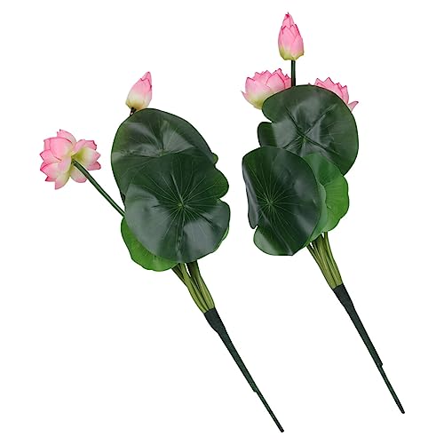 GRIRIW 2?^׉ { sN FʖLȃnX u  X p[eB[