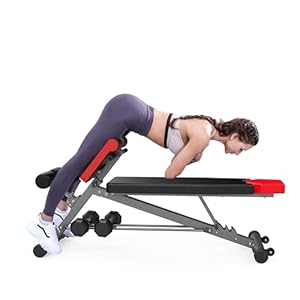 FF Finer Form Multi-Functional Weight Bench for Full All-in-One Body Workout – Adjustable Workout Bench Press for Home Gym, Fitness equipment for Back HyperExtension, Roman Chair Exercise, Sit up