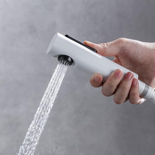 Kit de Douche en Entreprise Gris avec Tête de Douche Murale Haute Performance