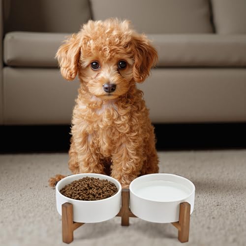 SPUNKYJUNKY Hundenapf Keramik Doppel Hund Futternapf Erhöhte Napf mit Akazienholz Ständer für Katzen und Hunde(400ml, Weiß)