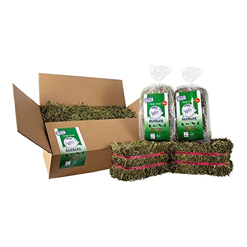 Paja de Alfalfa Premium para Roedores 20 lb miniatura 4