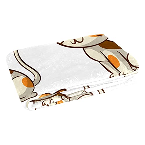 Couverture chat chaude et douce, plaid isolant sans coutures thermique