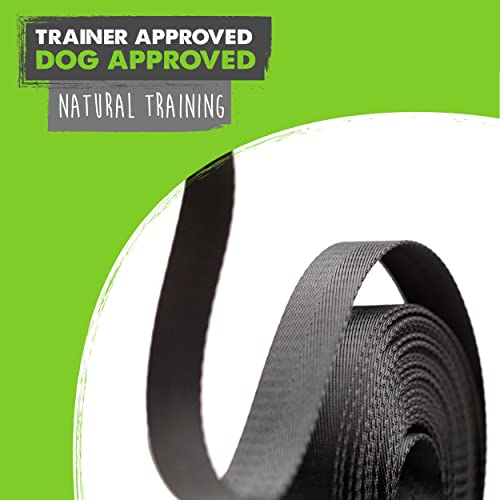 Mighty Paw Long Dog Leash | Pet Lead For Off-Leash Recall Training. Premium Quality Nylon Tie Out, Includes A Buckled Padded Handle. Great For Yard, Camping And Training. (30 Feet, Black) #TOP7