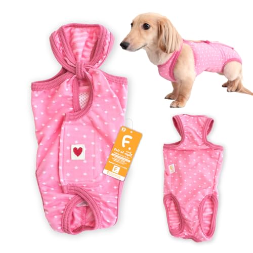 ^ hbg WK[h 앞 }i[K[h jp ^p  }i[pc }[LO΍ ̕ tIurK[ 6/sN NM