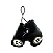 NFL Green Bay Packers Mini Boxing Gloves, 4"