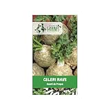 600 graines de céleri-rave géant de prague pour potager