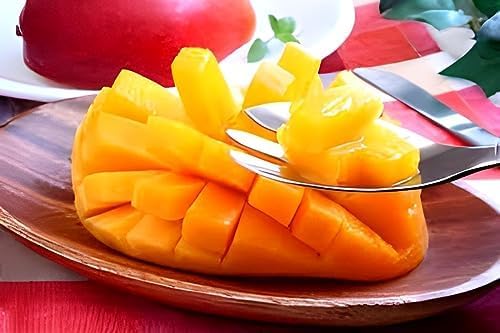 Image of Miyazaki Mango Grafted Hybrid Live Plant, Pack of 1 | Plant 1.5 Feet Height, Healthy Fruit Plant, For Home Garden