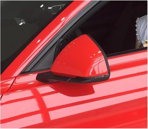 Remplacement du verre du rétroviseur extérieur chauffant Mustang 2015-2021 g/d